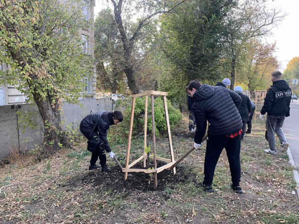 Подготовка к зимовке &amp;quot;Сада памяти&amp;quot;.