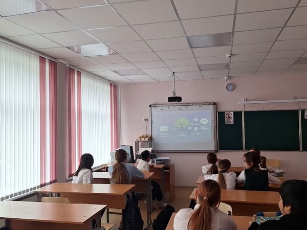 Как начать жить экологично.